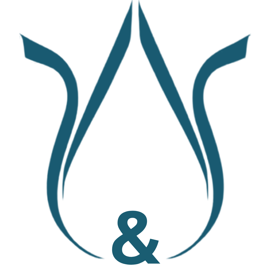 logo y&y